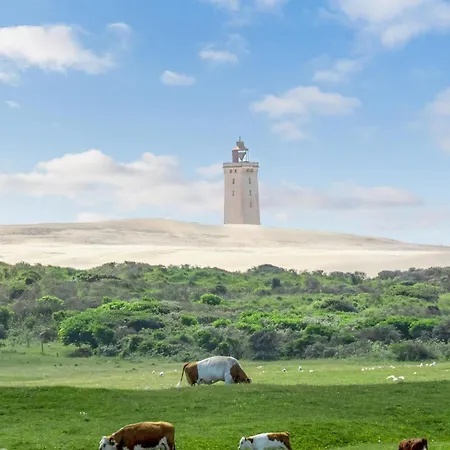 Amazing In With Sauna